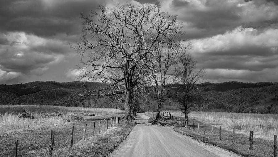 The Best Kind of Winter Day in Cades Cove, Black and White Photograph by Marcy Wielfaert