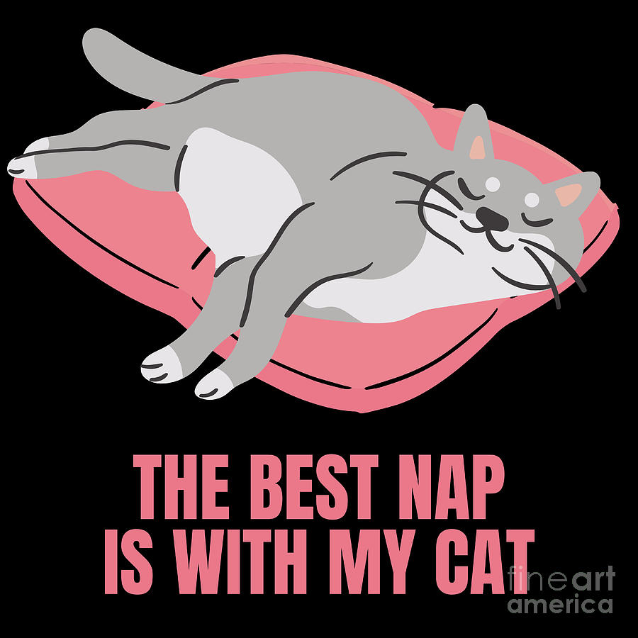 The Best Nap Is With My Cat Fun Design for Cat Lovers Digital Art by ...