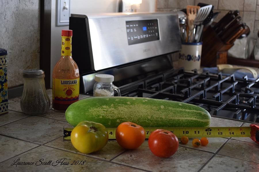 The Big Cucumber Photograph by Lawrence Hess