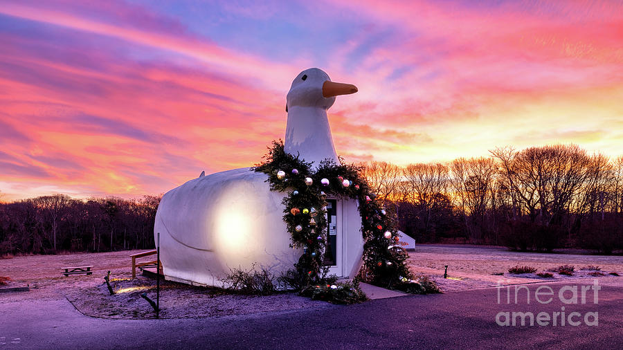 The Big Duck at Christmas Photograph by Sean Mills