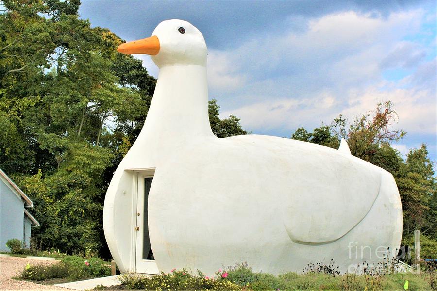The Big Duck of Long Island Photograph by Deborah A Andreas