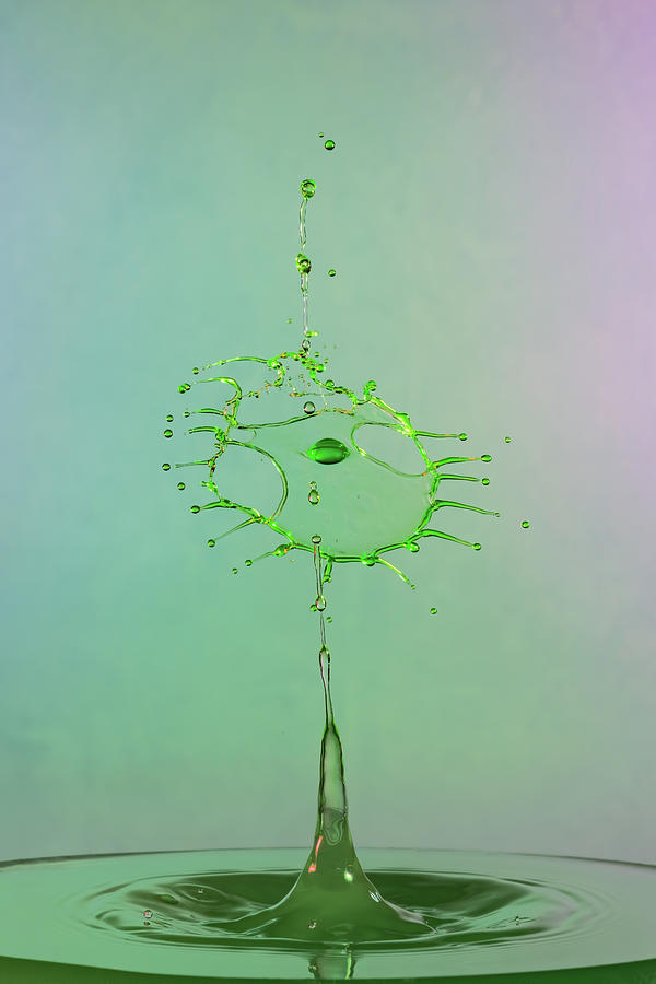 The Big Green Splash Photograph by Sue Leonard