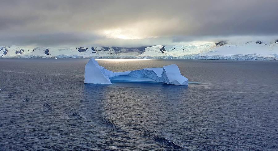 The Big Iceberg Photograph by Andrea Whitaker