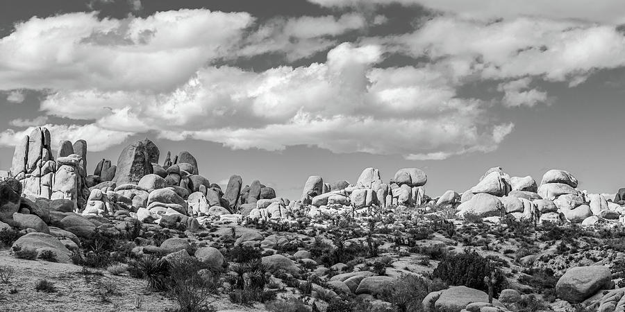 The Big Sky of Joshua Tree NP - Black and White Photograph by Peter Tellone