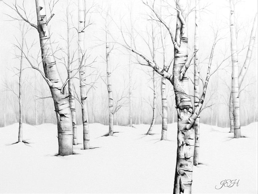The Birch Forest Painting by Judy Imeson