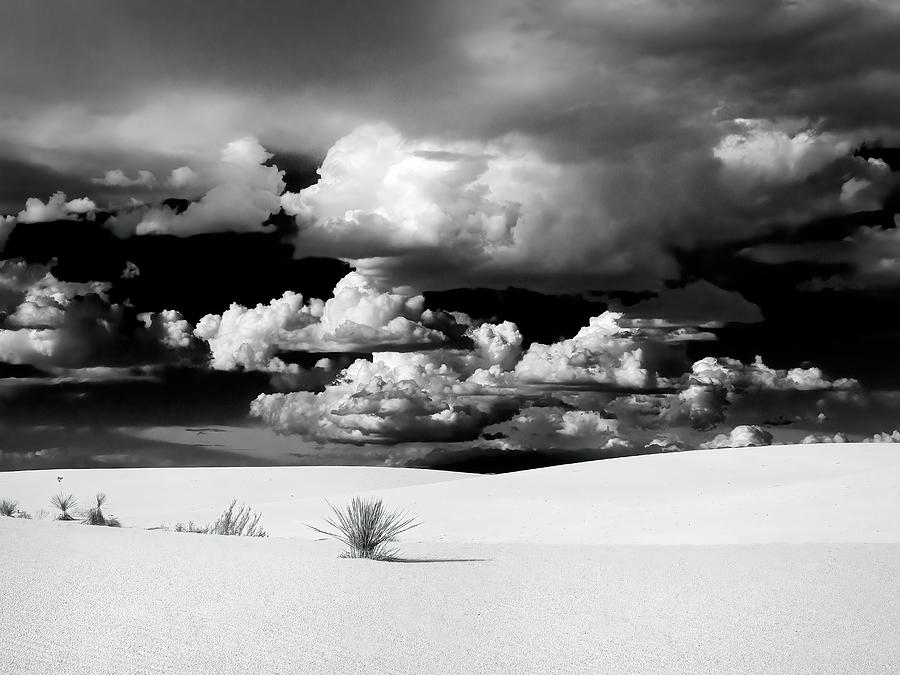 The Black and White Sands and Clouds Photograph by Joe Schofield