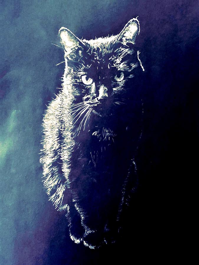 Cat Digital Art - The Black Cat No. 1 by Ian Deterling