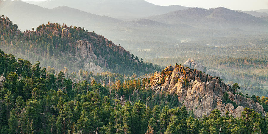 The Black Hills Of South Dakota Along Needles Highway Panorama ...