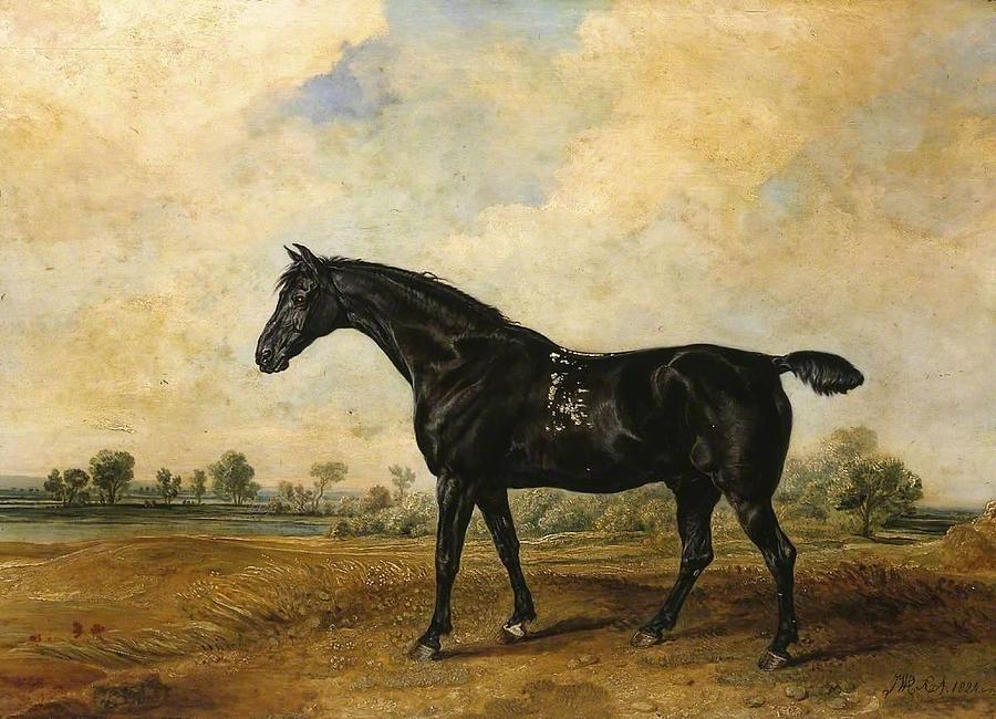 The Black Horse Painting by James Ward - Fine Art America