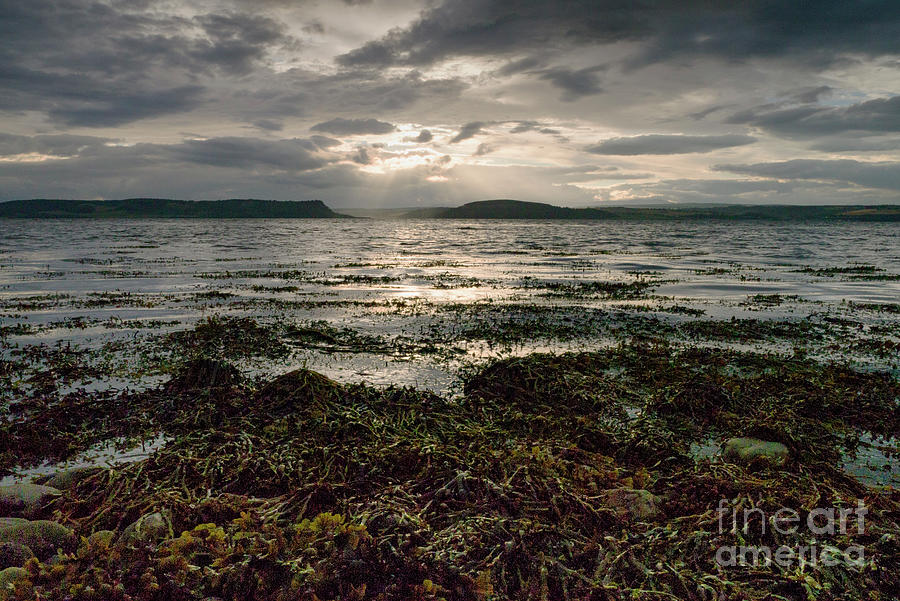 The Black Isle, Scotland, 2017 Photograph