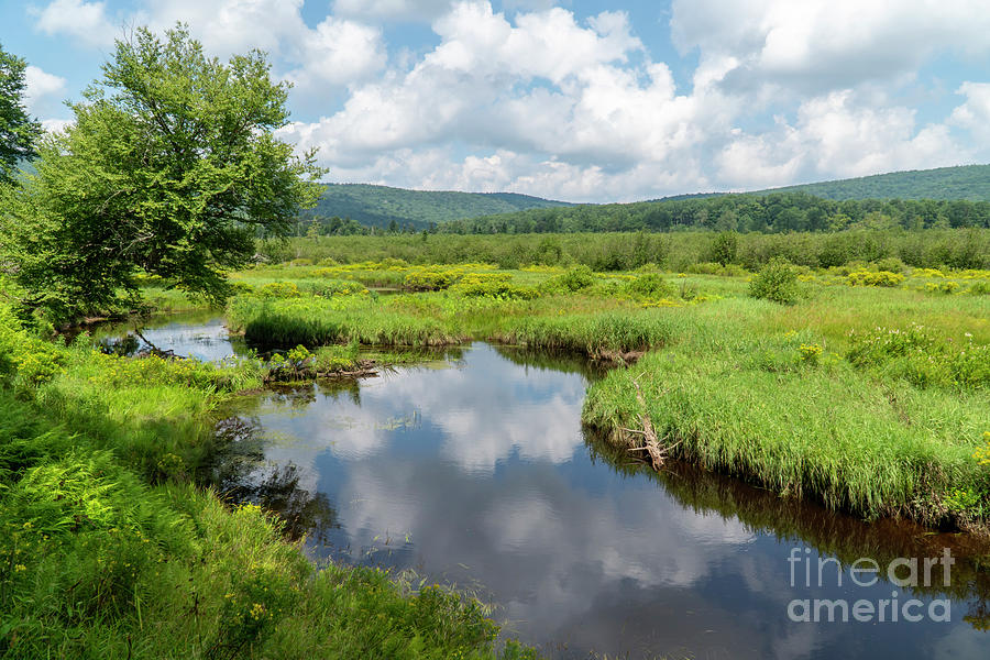 The Blackwater River meanders through wetlands at Canaan Valley  Photograph by William Kuta