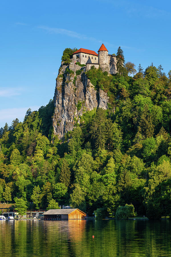 The Bled Castle And Lake In Slovenia Photograph by Artur Bogacki