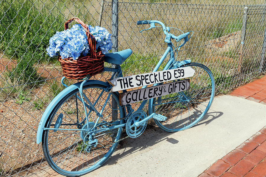 The Blue Bike Photograph by Elaine Teague