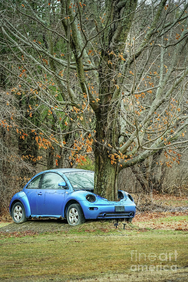 The Blue Buggie Photograph by Claudia M Photography
