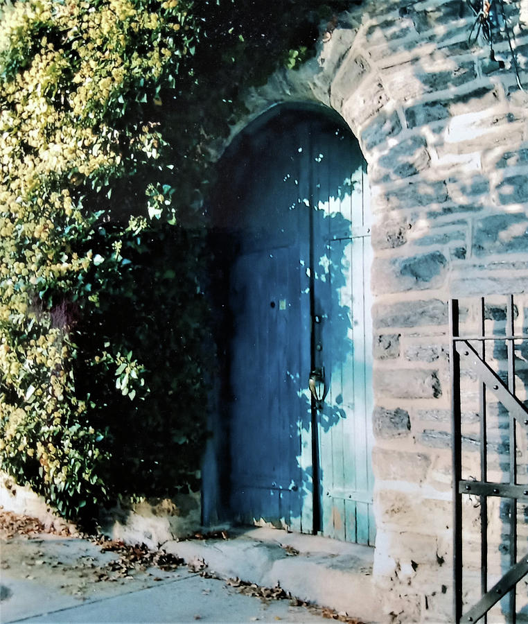 The Blue Door Photograph by Vickie G Buccini