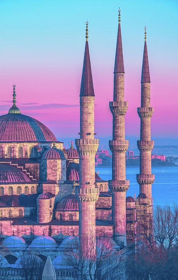 The Blue Mosque Photograph by Anis Charrad - Fine Art America