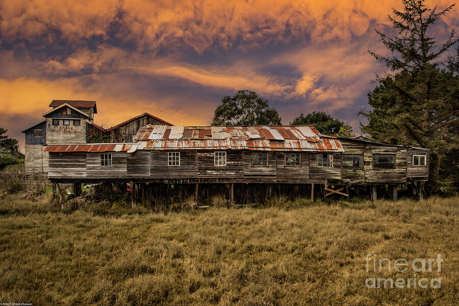 Sunset Photograph - The Blue Ox Mill  Eureka California by Mitch Shindelbower