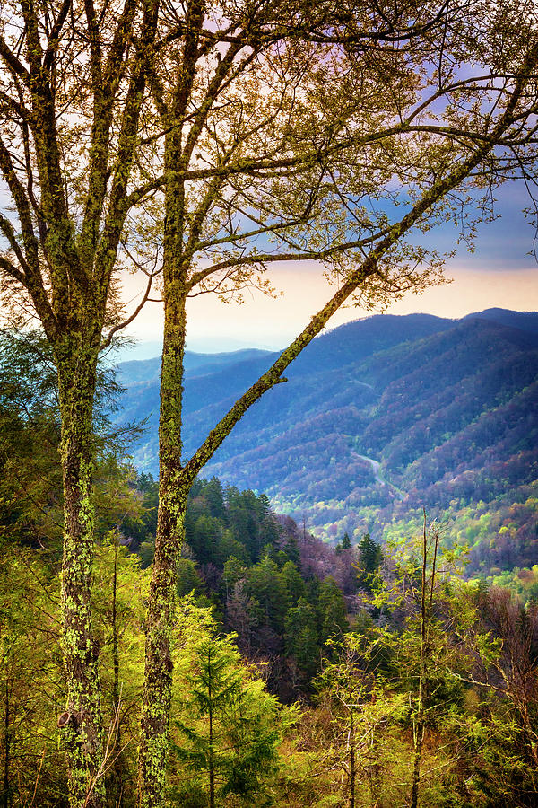 The Blue Ridge Mountains at Newfound Gap Photograph by Debra and Dave Vanderlaan