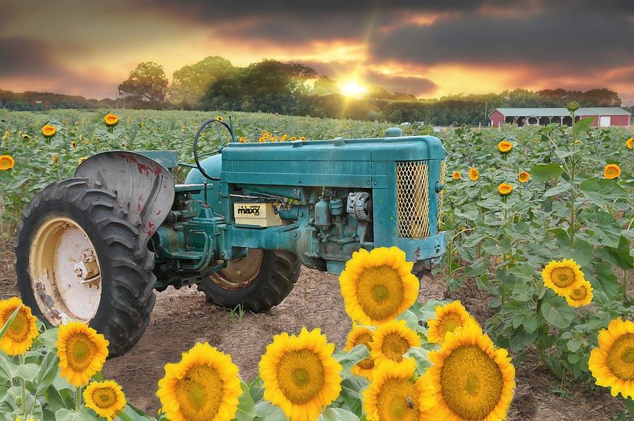 The Blue Tractor Photograph by Diana Angstadt