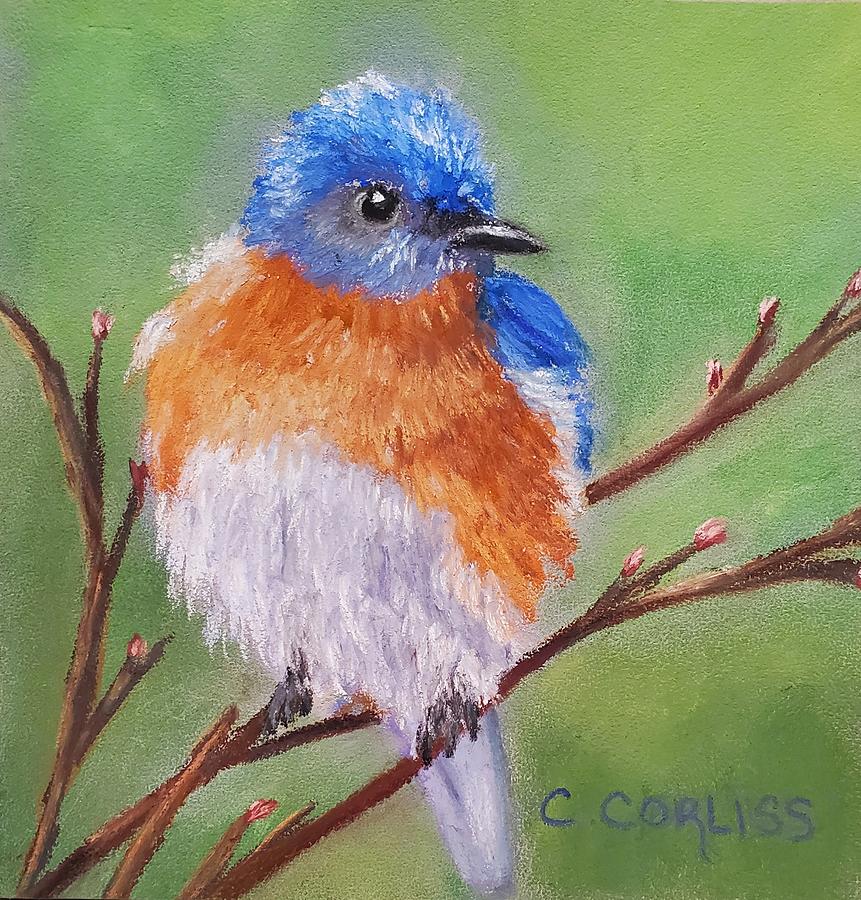 The Bluebirds Have Arrived Pastel by Carol Corliss