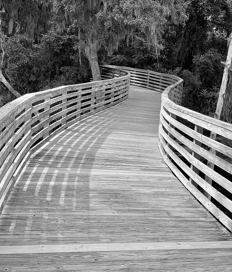 The Boardwalk in Black and White Photograph by Richard Bryce and Family