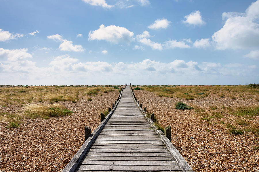 The boardwalk landscape Photograph by Steev Stamford