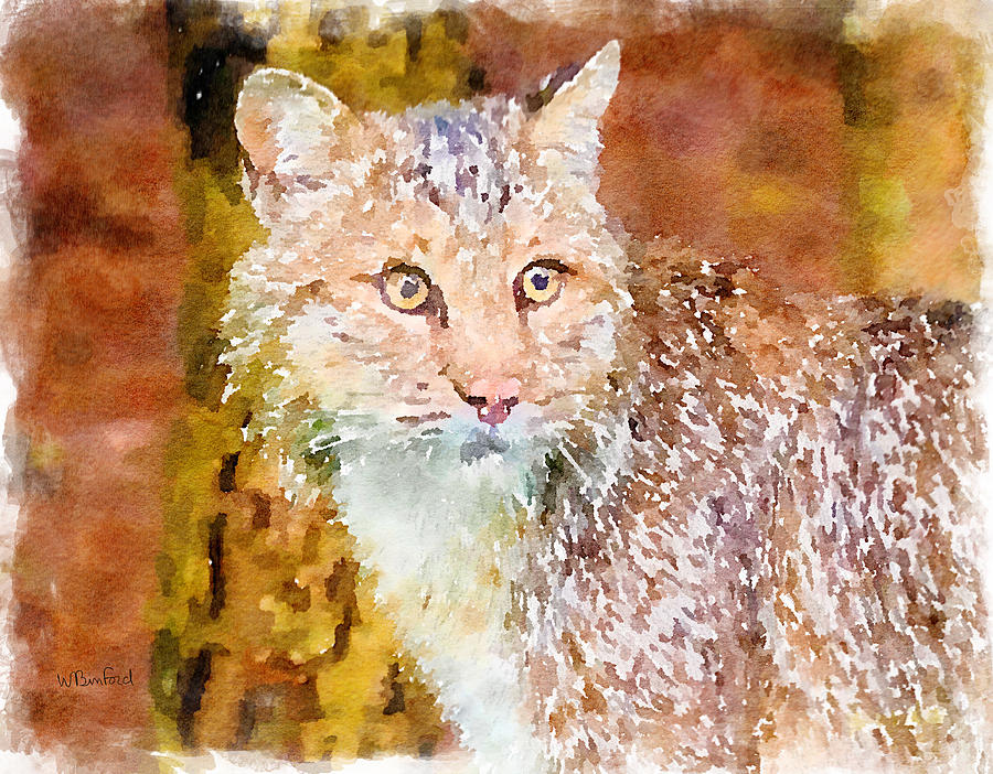 The Bobcat Painting by Wade Binford