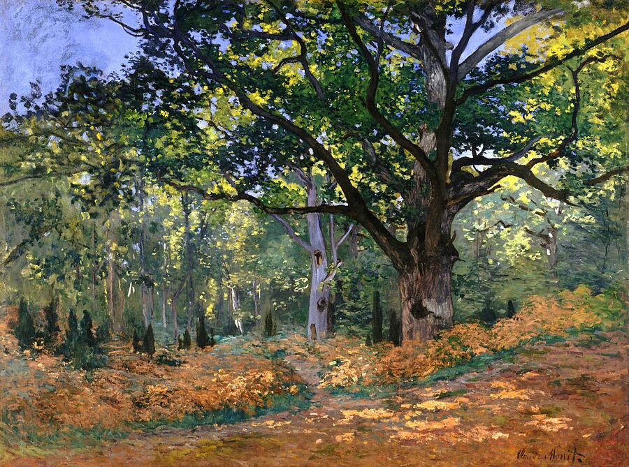 The Bodmer Oak, Fontainebleau Forest, from 1865 Painting by Claude Monet