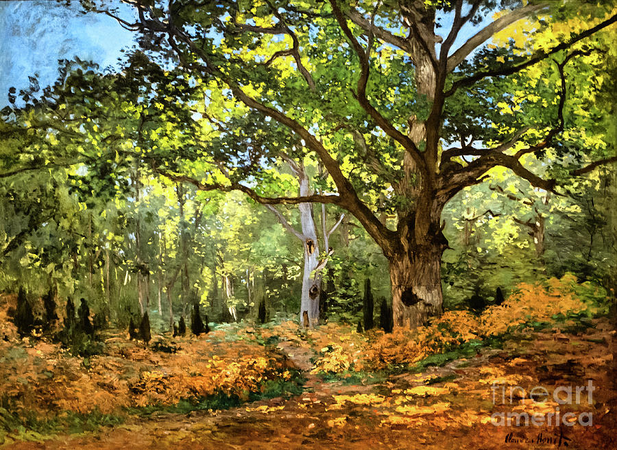 The Bodmer Oak, Fountainbleau Forest 1865 by Claude Monet Painting by Claude Monet