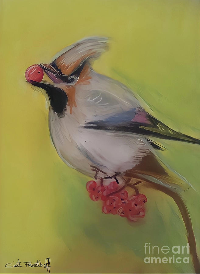 The Bohemian waxwing in pastel Pastel by Ciet Friethoff