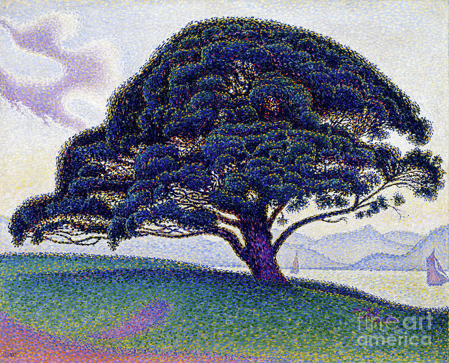 The Bonaventure Pine - Remastered Painting by Paul Signac | Fine Art ...