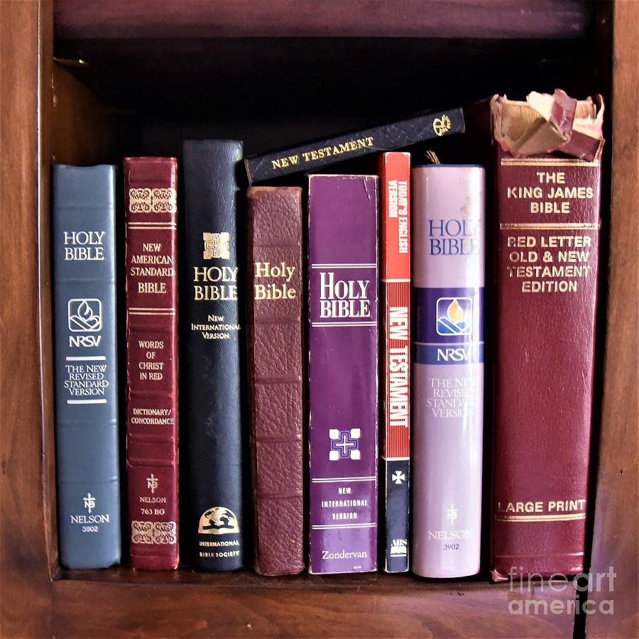 The Book Bookshelf Photograph by Leo Sopicki