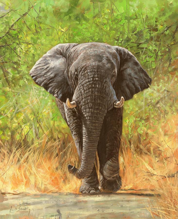 The Boss. African Elephant Painting by David Stribbling