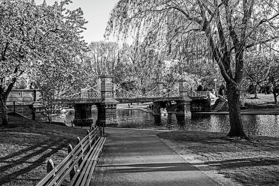 The Boston Public Garden in the Spring Boston MA Black and White Photograph by Toby McGuire