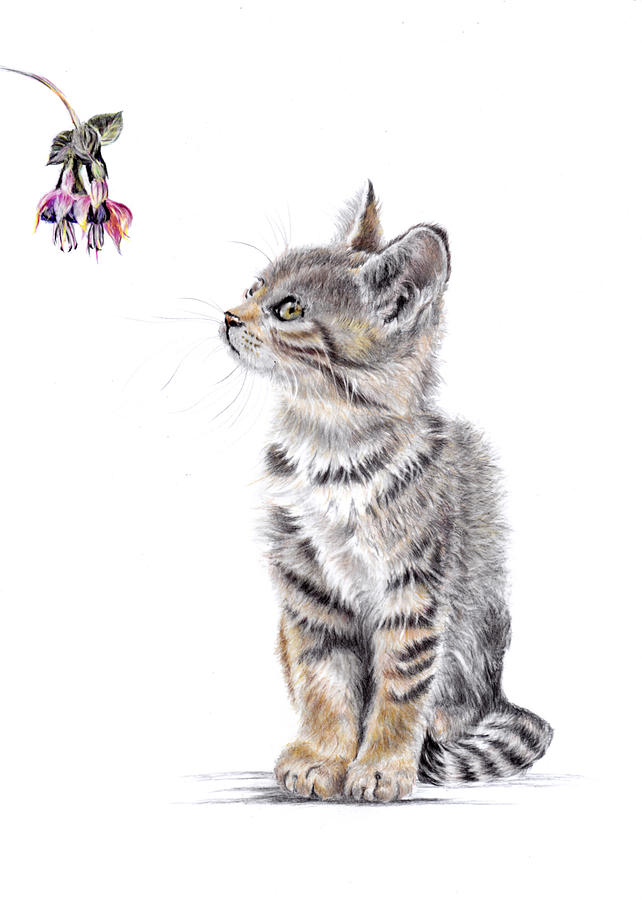 Cat Painting - The Botanist - Tabby Kitten and Fuchsia by Debra Hall