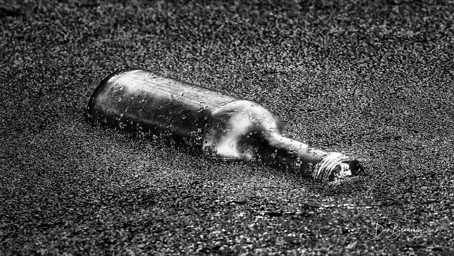 The Bottle 9647 Photograph by Dan Beauvais