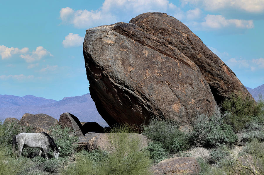 The Boulders. Photograph by Paul Martin