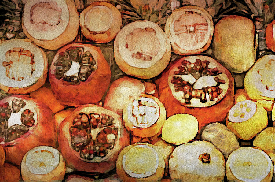 The Bountiful Feast - Pomegranates and Lemons Digital Art by Susan Maxwell Schmidt