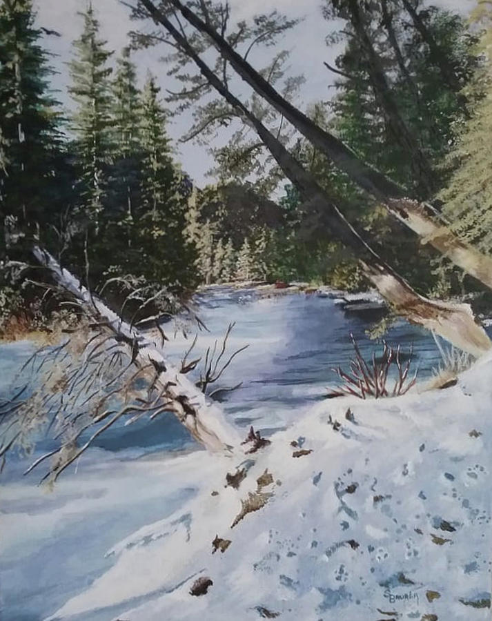 The Bow River Painting by Susan Bruner