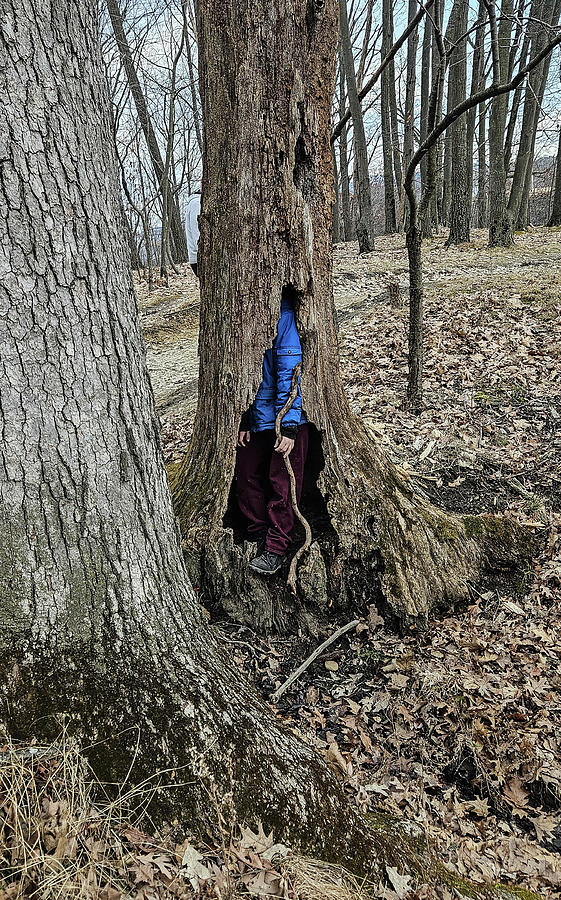 The boy in a tree  Photograph by Bruce Carpenter
