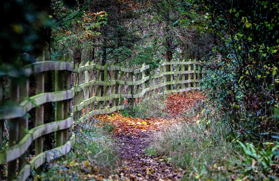 Autumn Colours Ireland #2 Photograph by Sublime Ireland