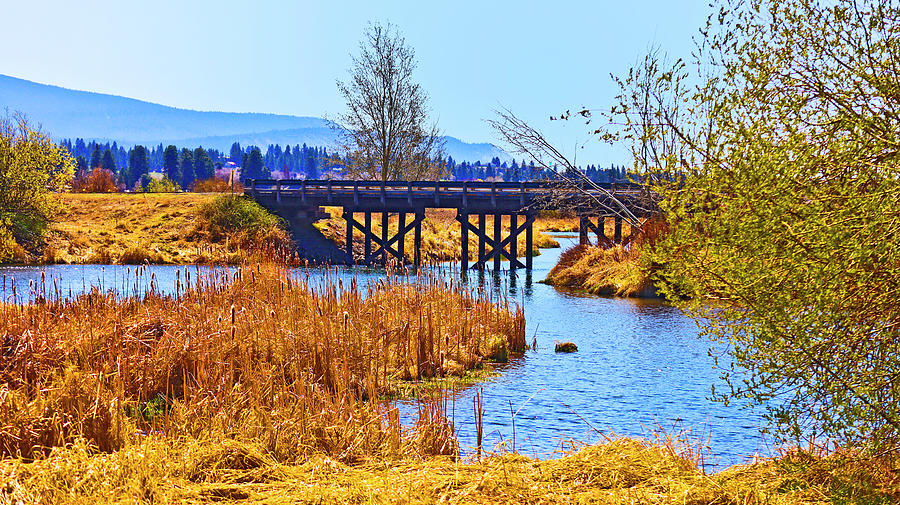The Bridge At Wood River Wetlands Photograph