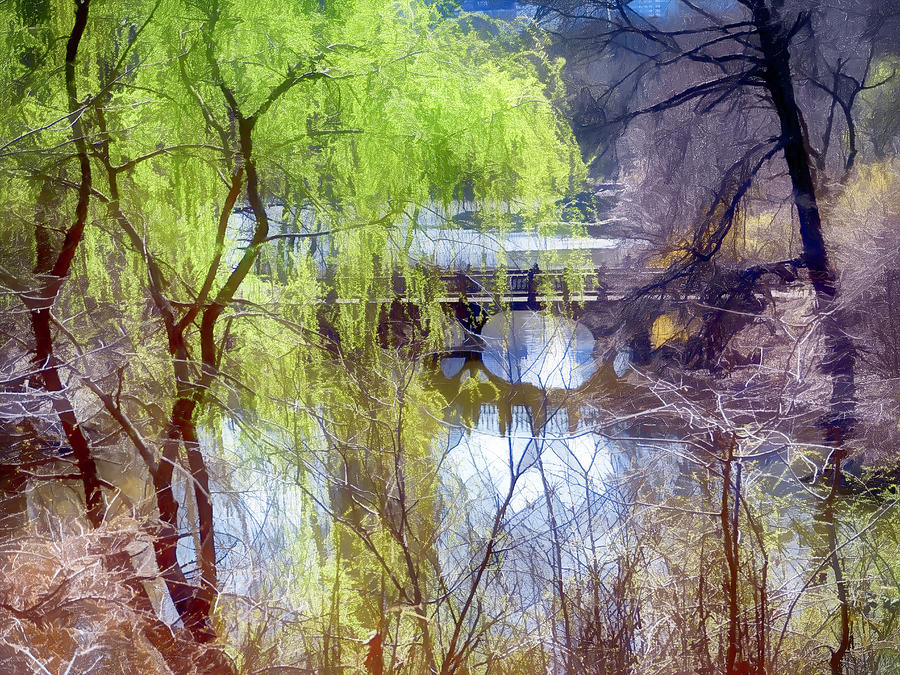 Central Park Photograph - The Bridge of Dreams by Frank McAdam