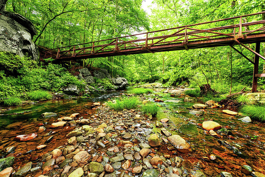 The Bridge Over Otter Creek Photograph by Dan Carmichael