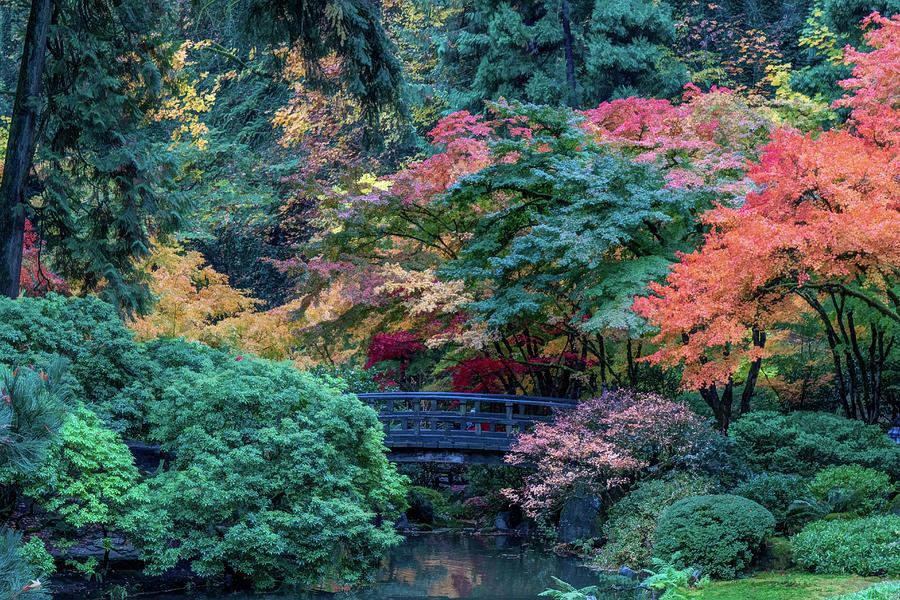 The Bridge to Color Photograph by Kathleen Codinha - Fine Art America