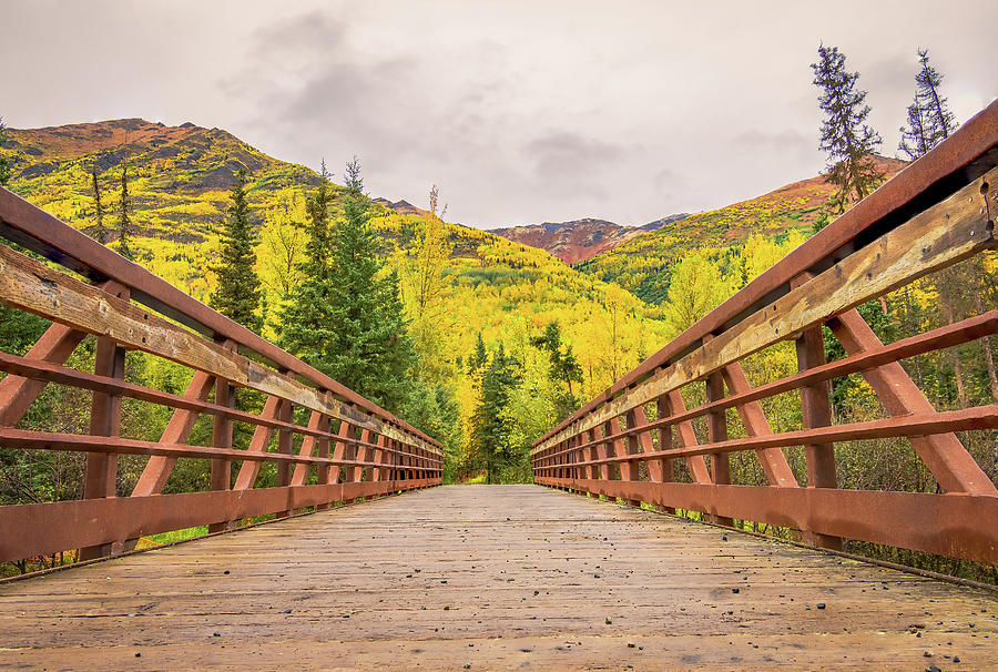 The Bridge to Fall Photograph by Frosted Birch Photography