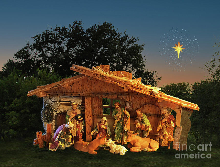 Donkey Photograph - The Brightest Star - The Nativity by John Grdens Wonky Designs and Fine Art