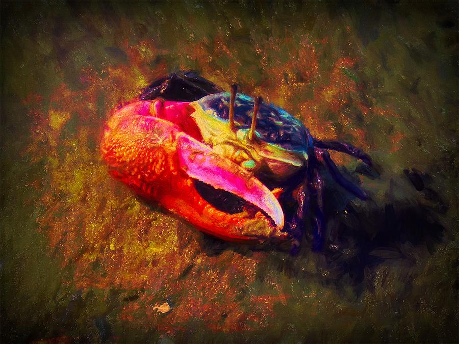 The Brightly Colored Fiddler Crab Mixed Media by Joan Stratton