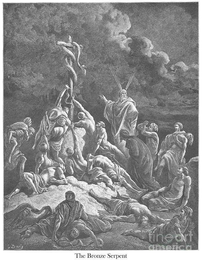 The Bronze Brazen Serpent by Gustave Dore v1 Drawing by Historic illustrations