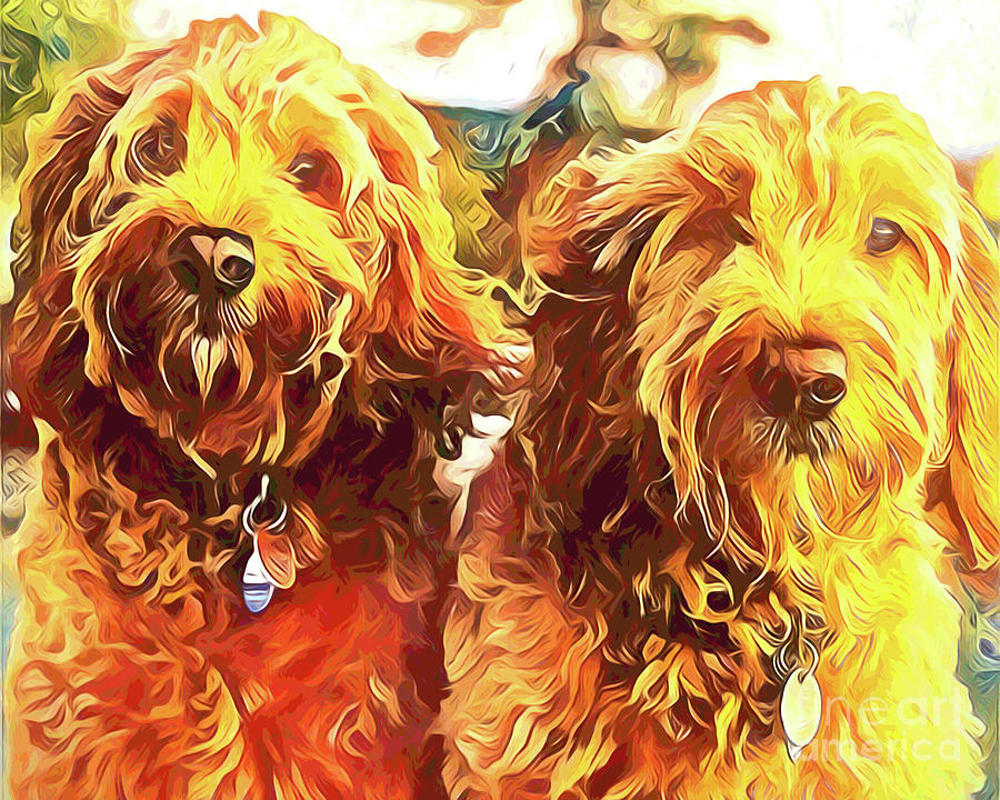 The Brothers Goldendoodle Photograph by Xine Segalas